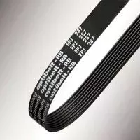 Ремень PM 8408 4 3310 M Optibelt