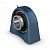 Подшипниковый узел SYFL 30 TR/VE495 SKF